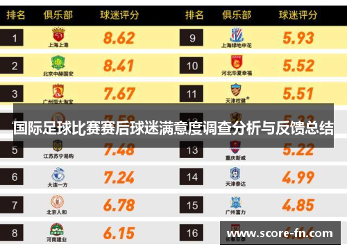 国际足球比赛赛后球迷满意度调查分析与反馈总结