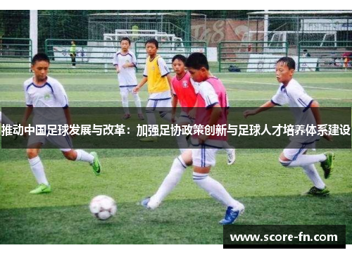 推动中国足球发展与改革：加强足协政策创新与足球人才培养体系建设