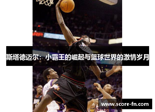 斯塔德迈尔：小霸王的崛起与篮球世界的激情岁月