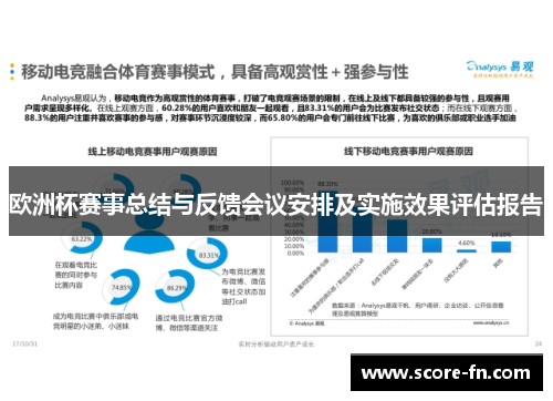 欧洲杯赛事总结与反馈会议安排及实施效果评估报告
