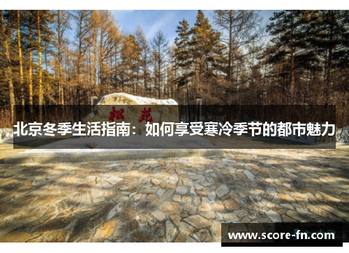 北京冬季生活指南：如何享受寒冷季节的都市魅力