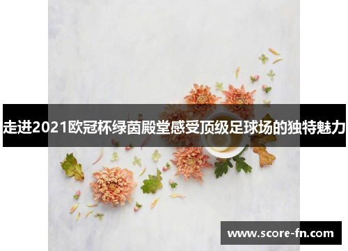 走进2021欧冠杯绿茵殿堂感受顶级足球场的独特魅力
