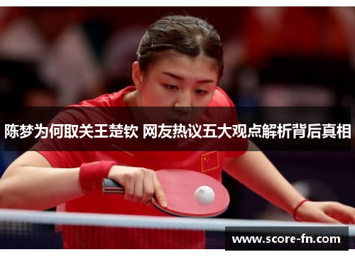 陈梦为何取关王楚钦 网友热议五大观点解析背后真相